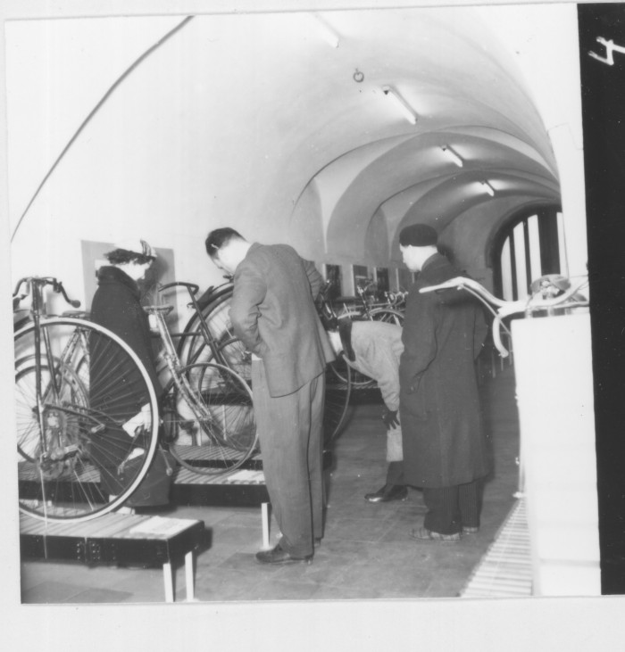 Výstava Od kostitřasu k favoritu, 1959