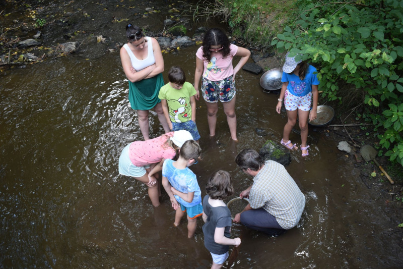 Letní stáž v muzeu nabídne účastníkům možnost stát se na týden přírodovědcem