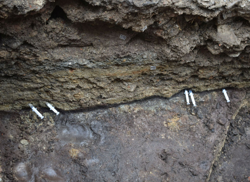 Záchranný archeologický průzkum