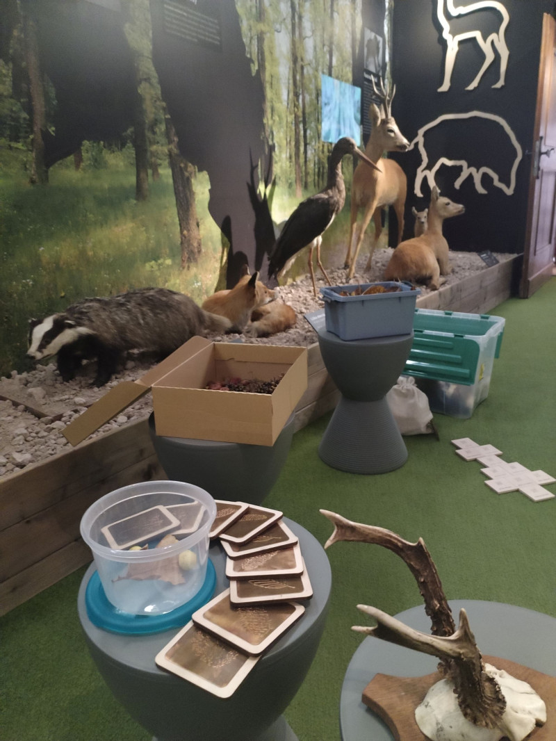 Život trochu jinak v muzeu