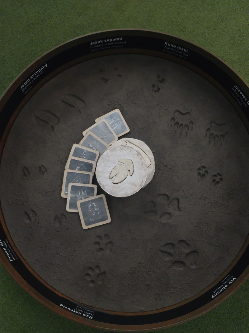 Život trochu jinak v muzeu