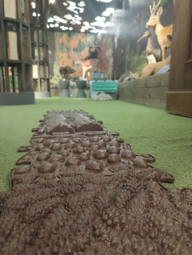 Život trochu jinak v muzeu