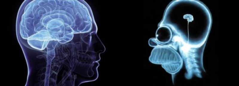 Videozáznam z přednášky Bludy a omyly ve vědě