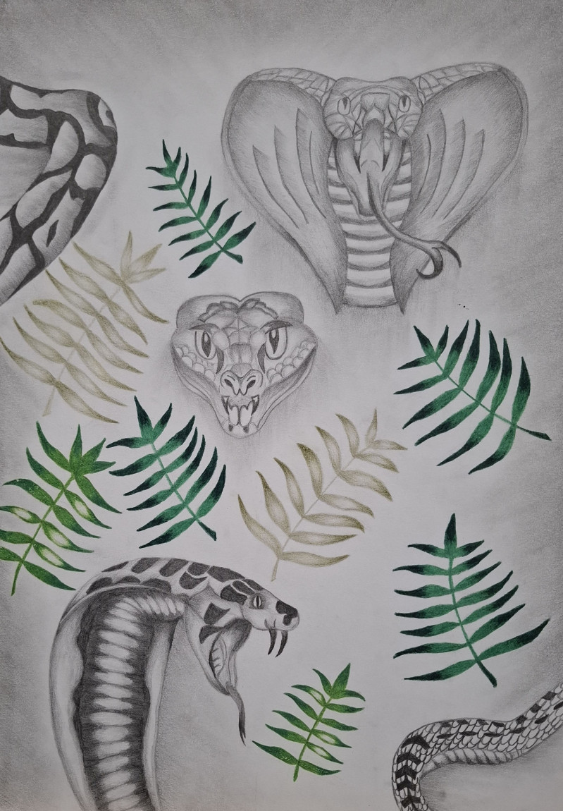 1. místo 11-14 let - Alena Pechová (14 let) ZUŠ G. Mahlera Humpolec: Velbloudi